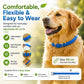 💫Hot Sale-60% OFFNatural Essential Oil Pet Pest Repellent Collar