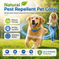 💫Hot Sale-60% OFFNatural Essential Oil Pet Pest Repellent Collar