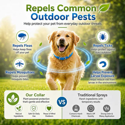 💫Hot Sale-60% OFFNatural Essential Oil Pet Pest Repellent Collar