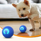 ⏳Limited-time 50% off⏰Interactive bouncing ball specially designed for dogs🐕🏐