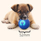 ⏳Limited-time 50% off⏰Interactive bouncing ball specially designed for dogs🐕🏐