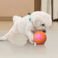 ⏳Limited-time 50% off⏰Interactive bouncing ball specially designed for dogs🐕🏐