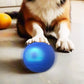 ⏳Limited-time 50% off⏰Interactive bouncing ball specially designed for dogs🐕🏐