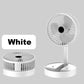 ⏳Limited-time 50% off⏰Foldable plug-in fan🍃🍃