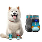 ⏳Limited-time 50% off⏰Breathable Mesh Dog Shoes with Luminous Design🐶👟