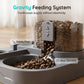 ⏳Limited-time 50% off⏰2-in-1 Pet Feeder and Water Dispenser🐾🥣