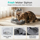 ⏳Limited-time 50% off⏰2-in-1 Pet Feeder and Water Dispenser🐾🥣