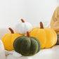 ⏳Limited-time 50% off⏰Cute Soft Pumpkin Throw Pillow🎃🛋️