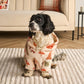 ⏳Limited-time 50% off⏰Funny Festive Dog Hooded Sweater🐕👕