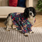 ⏳Limited-time 50% off⏰Funny Festive Dog Hooded Sweater🐕👕