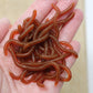 ⏳Limited-time 50% off⏰Simulation Earthworm Soft Fishing Lures🎣🪱