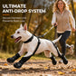 ⏳Limited-time 50% off⏰Waterproof Anti-Drop Dog Boots with Adjustable Harness Suspender🐕🛡️💦