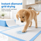 ⏳Limited-time 50% off⏰Leakproof Deodorizing and Breathable Thin Pet Pee Pads for Dogs🐕🧻
