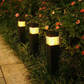⏳Limited-time 50% off⏰Solar Outdoor Garden Lights for Yard and Landscape Decoration🏡💡