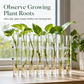 ⏳Limited-time 50% off⏰Clear Glass Test Tube Vase Set with Cleaning Brush🧪💐