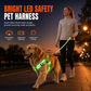Adjustable LED Dog Harness Luminous Flashing Pet Chest Strap