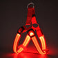 ✨🐶 Adjustable LED Dog Harness Luminous Flashing Pet Chest Strap 💡🐾✨